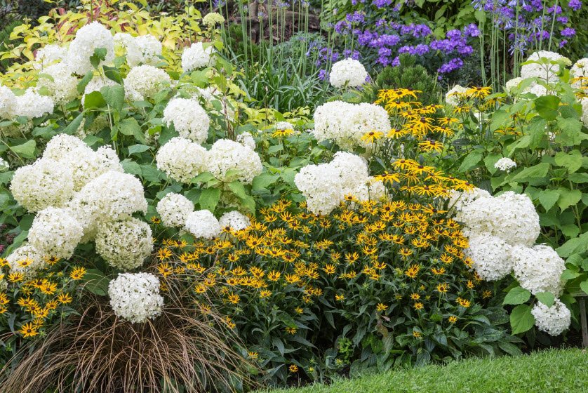 Foggy Bottom, Washington, DC, USA, United Kingdom